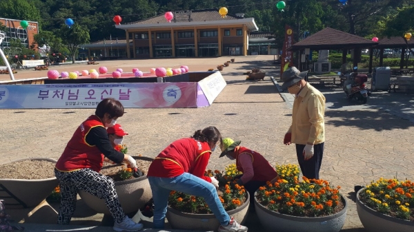 13일, 밀양시 가곡동 사회단체회원들이 가곡동 광장에서 여름꽃인 메리골드를 식재하고 있다.