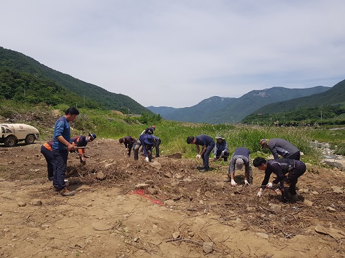 지난 28일 산내면 청년회와 마을 주민들이 동천 하양교 주변에서 방치된 사과 전지목과 생활쓰레기를 수거하고 있다.
