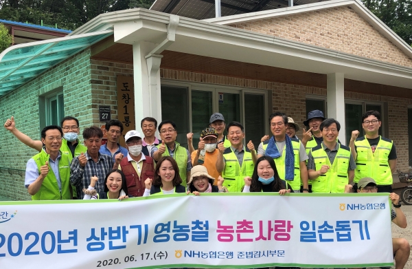 NH농협은행 준법감시부문 임직원들이 17일 경기 시흥시 포도농가에서 일손돕기 후 기념촬영을 하고 있다.