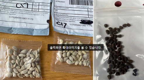 27일(현지시간) 미국 농업 당국이 중국에서 보낸 것으로 추정되는 씨앗 꾸러미(사진)를 밭에 심지 말라고 경고에 나섰다. 사진은 워싱턴주 주민이 받은 씨앗(왼쪽)과 버지니아주 주민이 받은 씨앗. (출처: 워싱턴주 농업부, 버지니아주 농업부)
