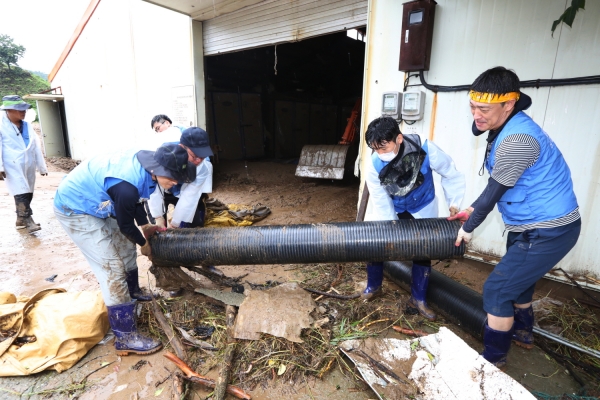 지난 6일, KT&G 임직원들이 충북 제천시 봉양읍 일대 수재민들을 대상으로 피해 복구 봉사활동을 펼치고 있는 모습.