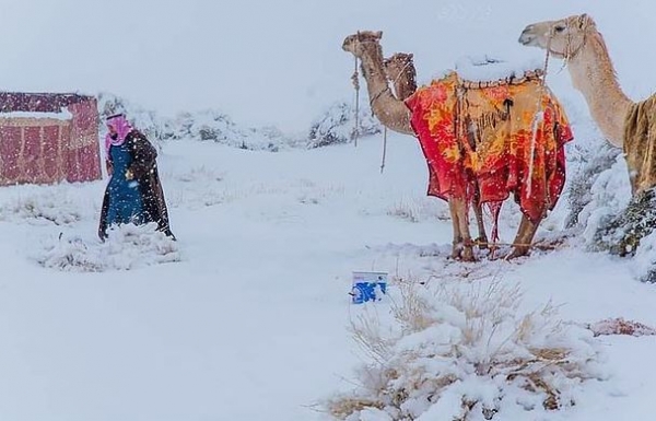 사하라사막에 내린 눈 / SNS