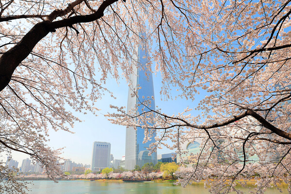 따뜻한 세상을 위한 아름다운 도전에 앞장서는 롯데월드타워