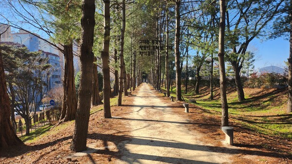 함안군은 가야읍 소재 도심숲인 아라숲길을 일대에 오는 3월까지 걷기 좋은 맨발길을 조성하고 시설물을 정비할 계획이라고 밝혔다.