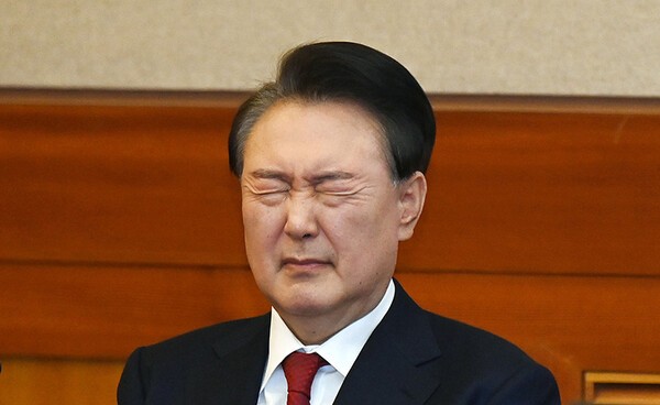 윤석열 부친 묘지에 '이것' 설치돼 논란...국가 예산 투입 정황까지